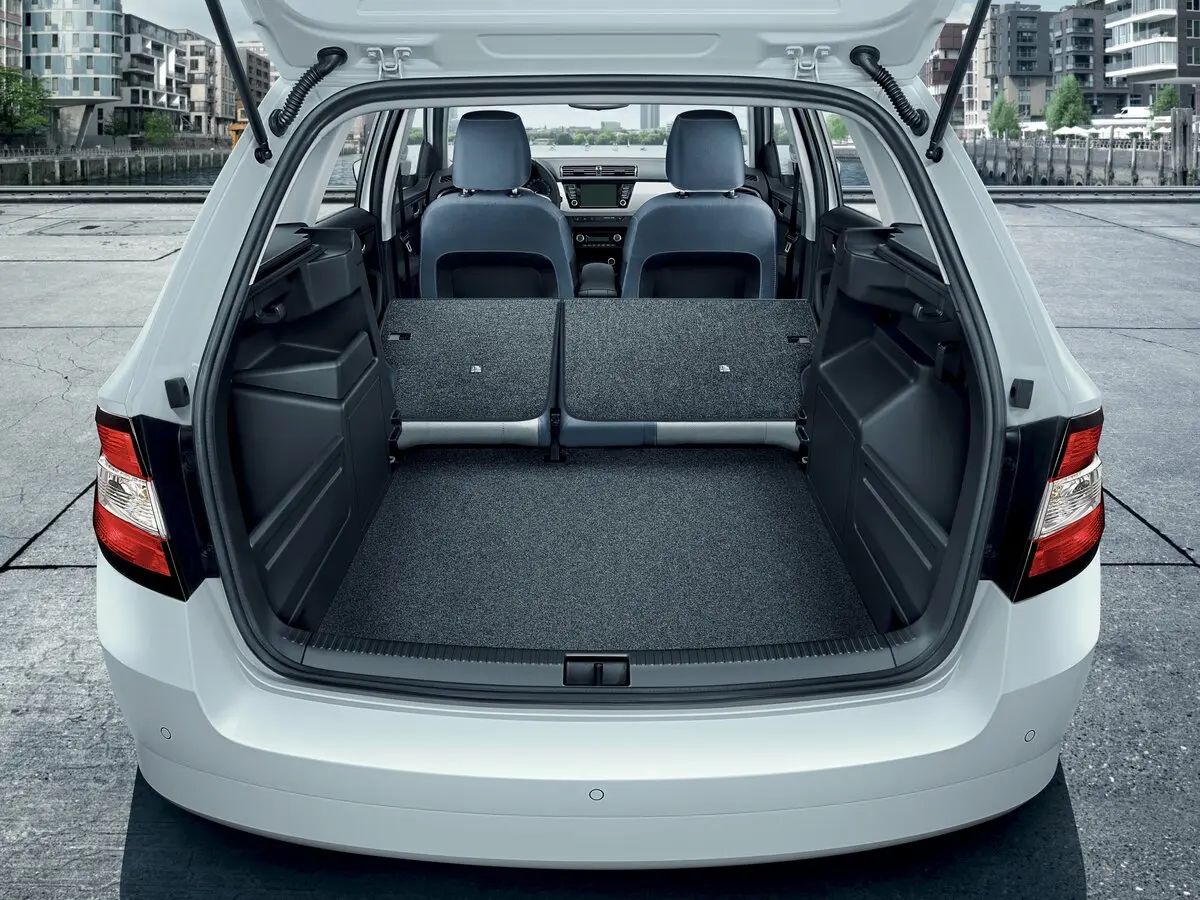 Skoda Fabia III Универсал 5 дв. — фото 9