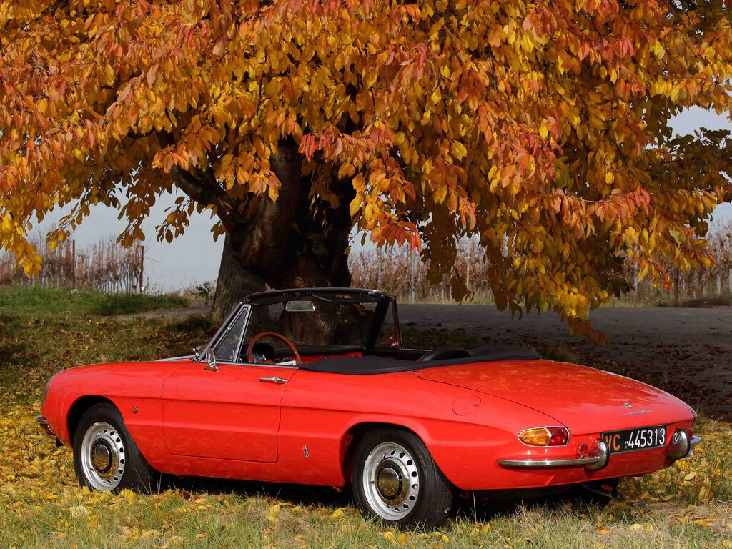 Alfa Romeo Spider I Кабриолет