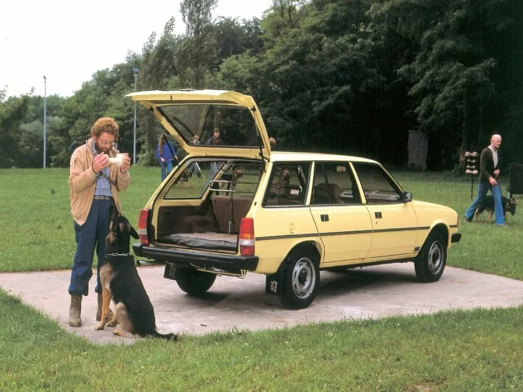 Peugeot 305 1977 – 1990 Универсал 5 дв. — сүрөт 8