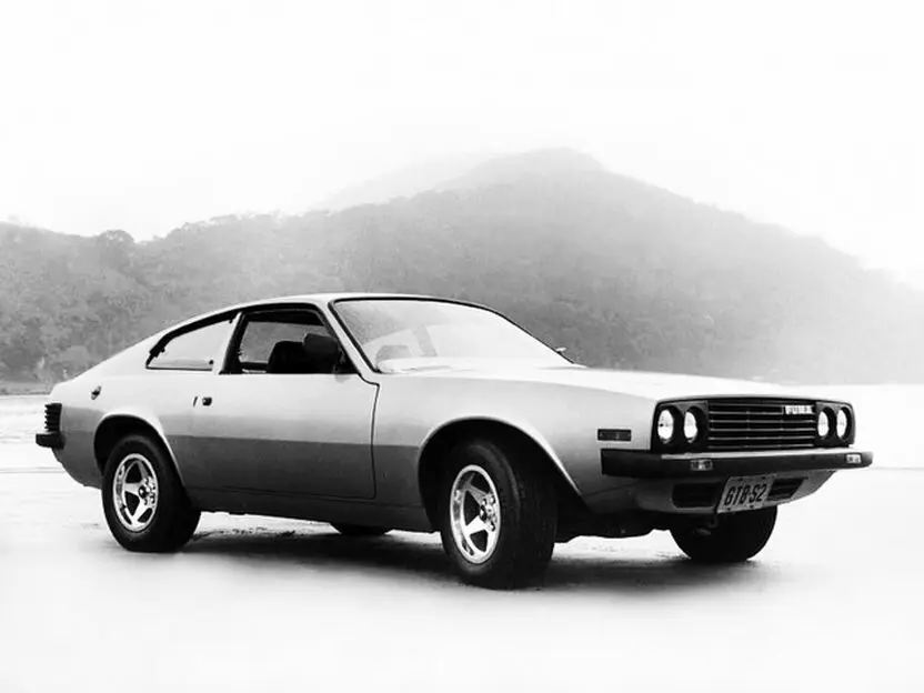 Puma GTB 1973 – 1984 Купе — photo 2