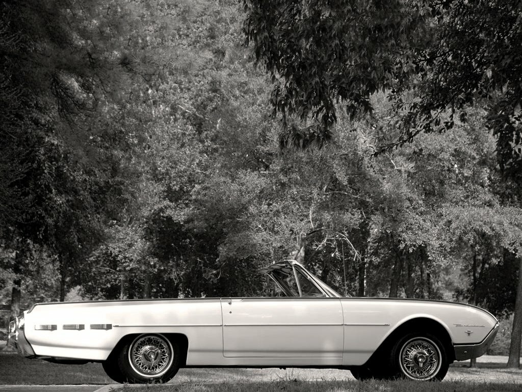 Ford Thunderbird III Кабриолет — фото 2