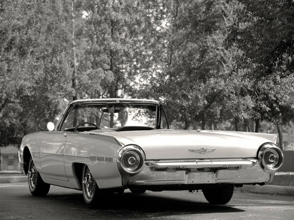 Ford Thunderbird III Кабриолет — фото 3