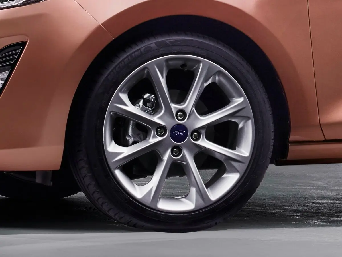 Ford Fiesta Mk7 Хэтчбек 5 дв. — 照片 18