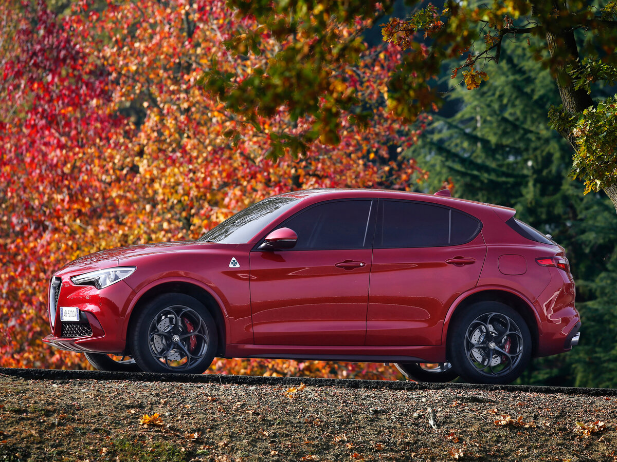 Alfa Romeo Stelvio I Внедорожник 5 дв. — фото 2