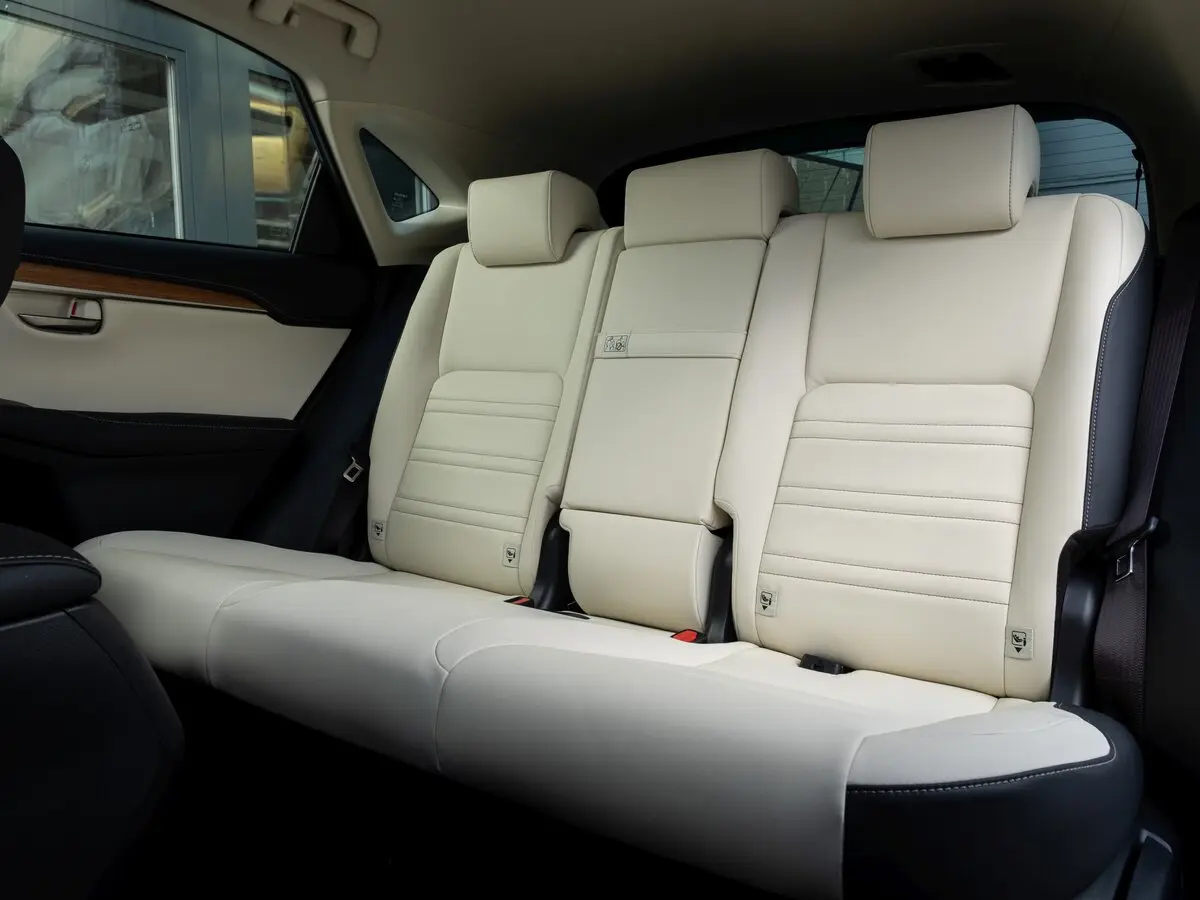 Lexus NX I Рестайлинг Внедорожник 5 дв. — фото 12