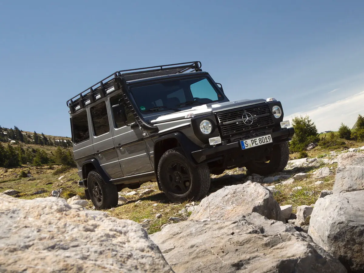 Mercedes-Benz G-Класс I (W461) Professional