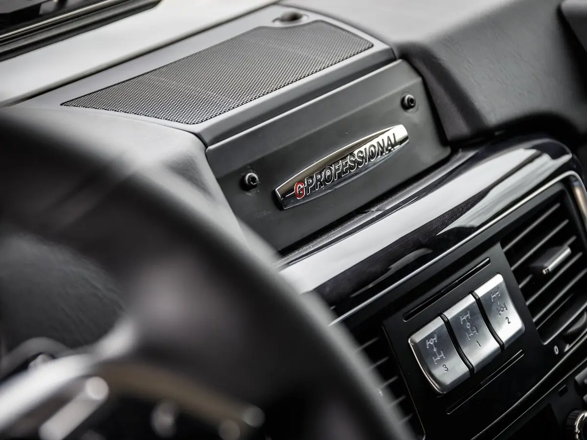 Mercedes-Benz G-Класс II (W463) Рестайлинг 4 Внедорожник 5 дв. Professional — сүрөт 11