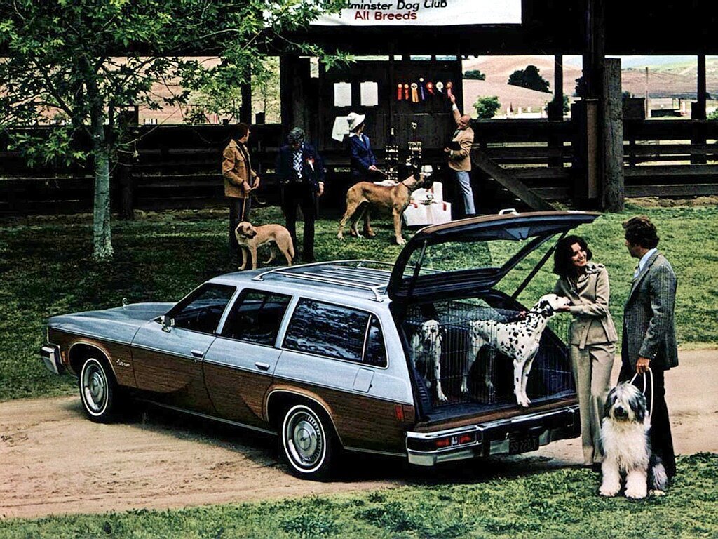 Oldsmobile Vista Cruiser III Универсал 5 дв. — фото 2