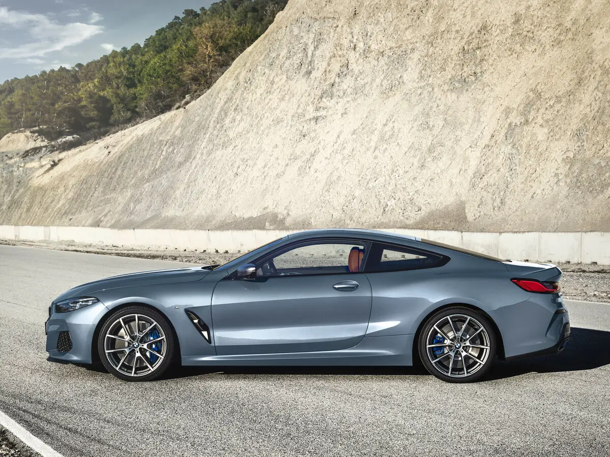 BMW 8 серии II (G14/G15/G16) Купе — сүрөт 2