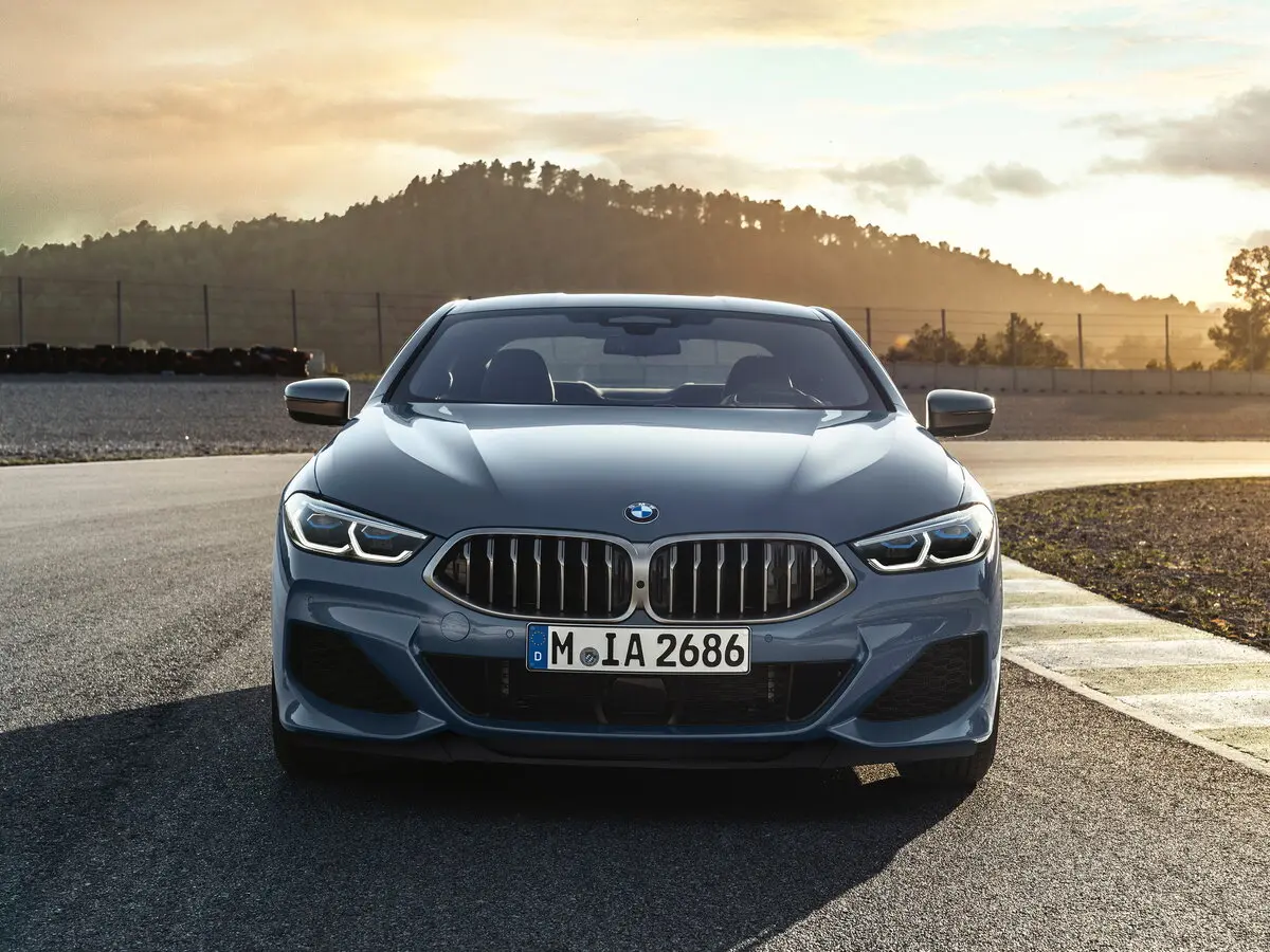 BMW 8 серии II (G14/G15/G16) Купе — сүрөт 3