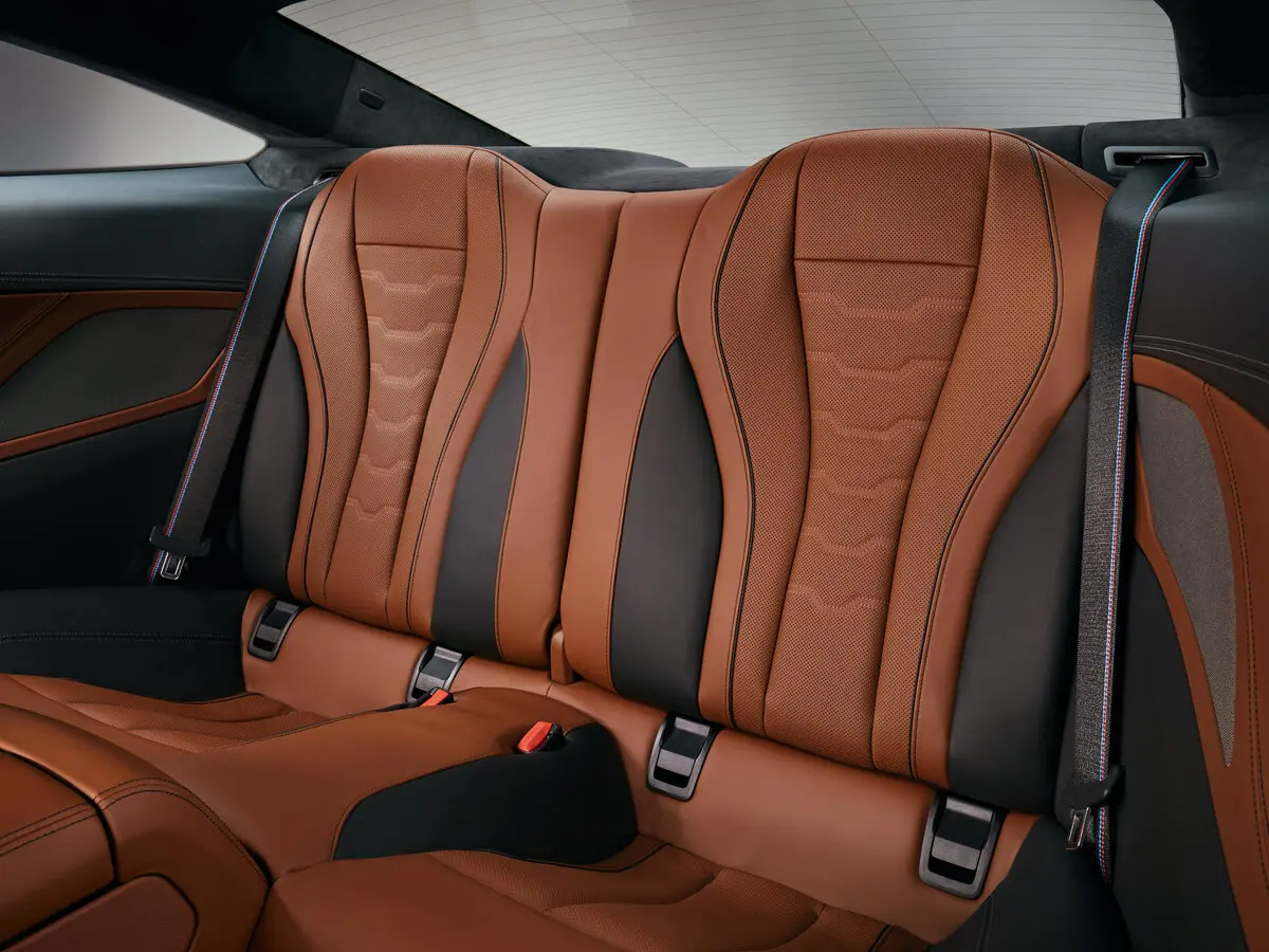 BMW 8 серии II (G14/G15/G16) Купе — сүрөт 10