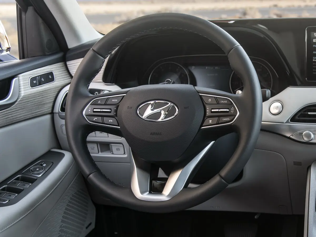 Hyundai Palisade I Внедорожник 5 дв. — фото 10