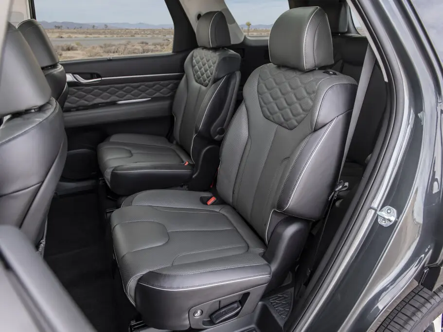 Hyundai Palisade I Внедорожник 5 дв. — фото 11