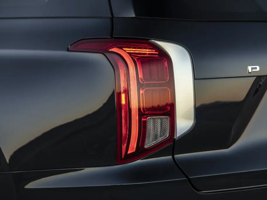Hyundai Palisade I Внедорожник 5 дв. — фото 15