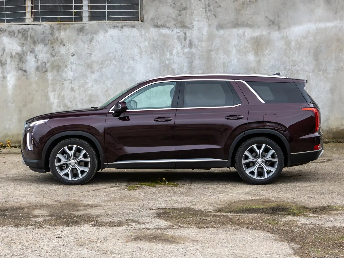 Hyundai Palisade I Внедорожник 5 дв. — фото 20