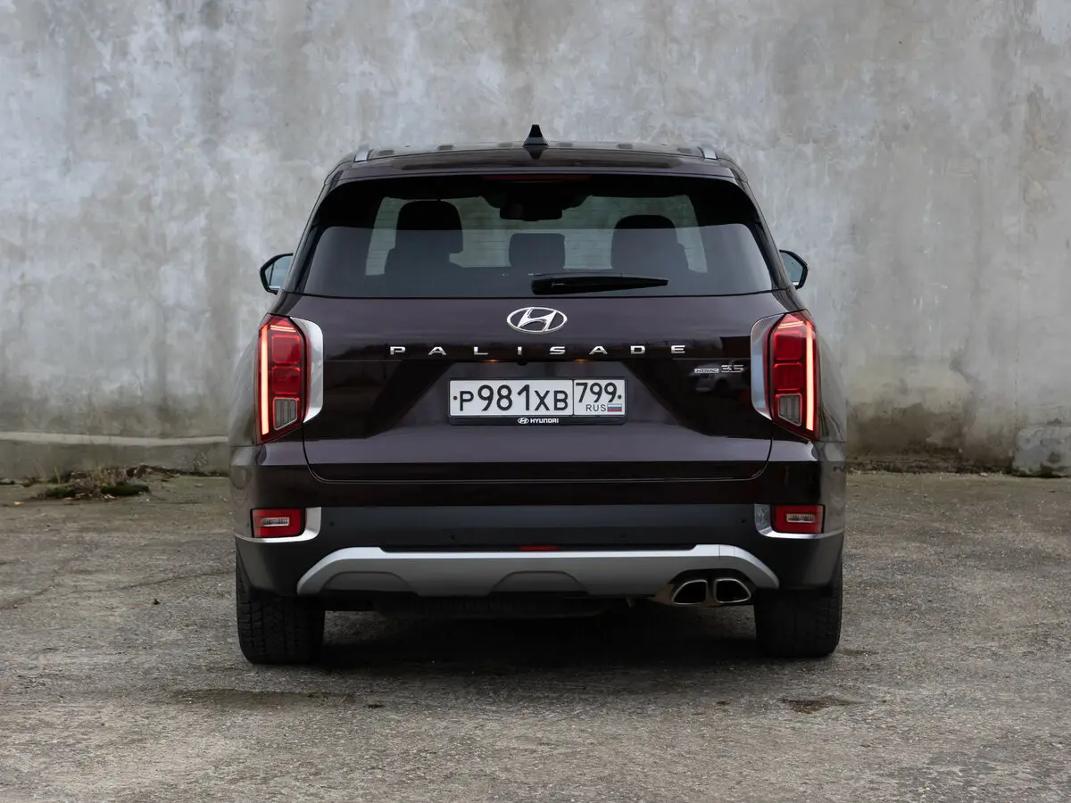 Hyundai Palisade I Внедорожник 5 дв. — фото 22