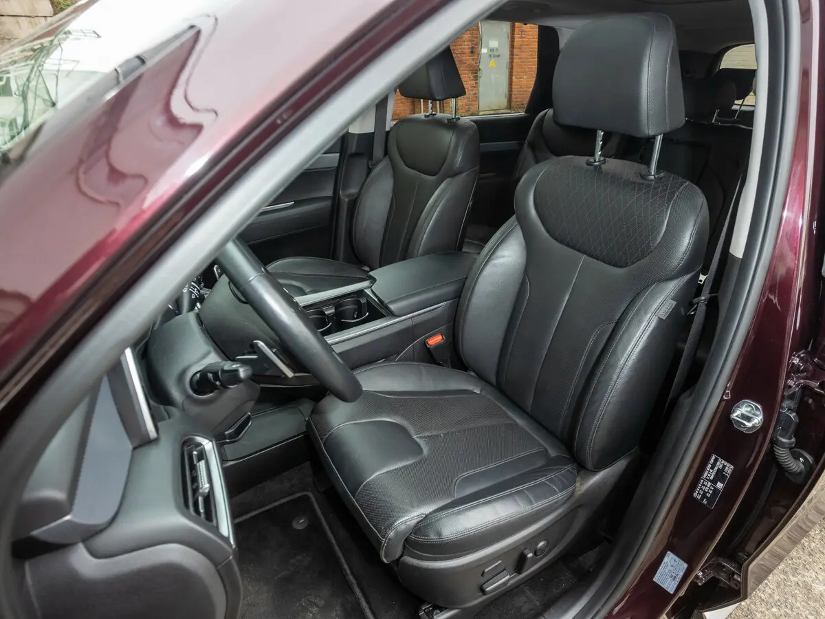 Hyundai Palisade I Внедорожник 5 дв. — фото 26