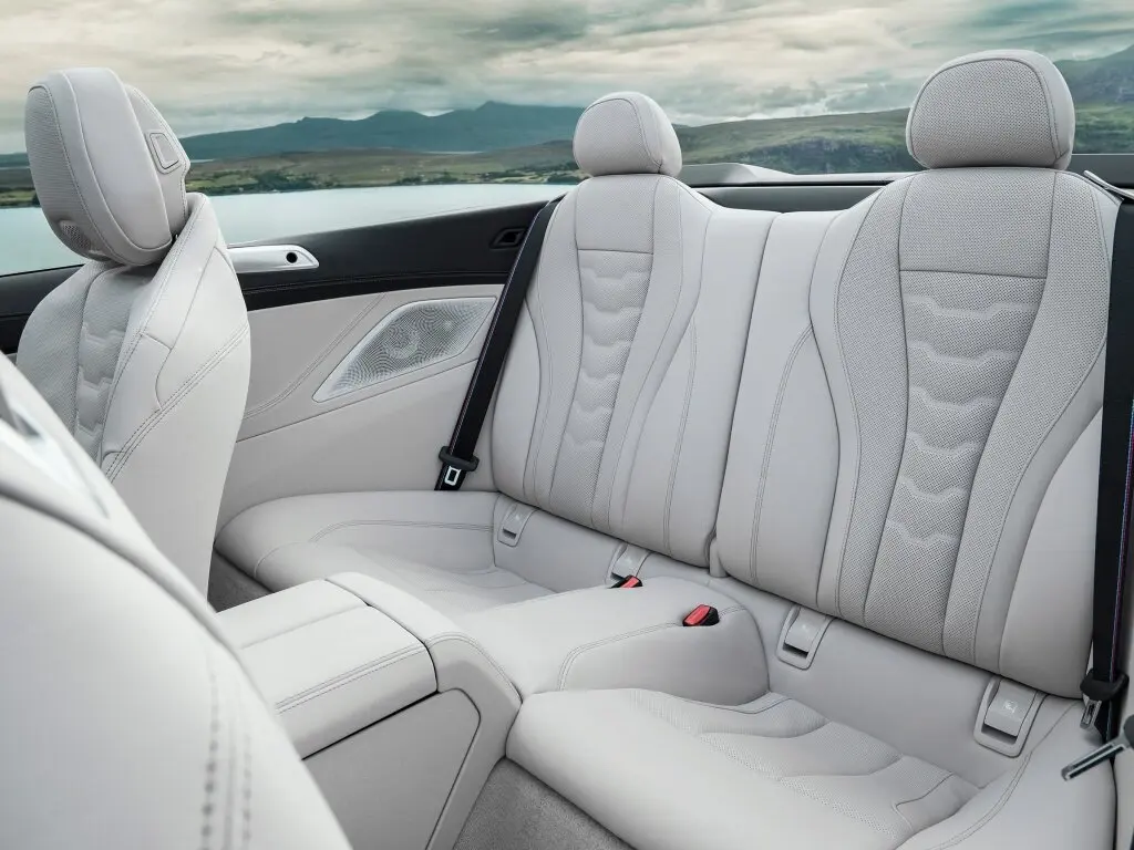 BMW 8 серии II (G14/G15/G16) Кабриолет — сүрөт 9