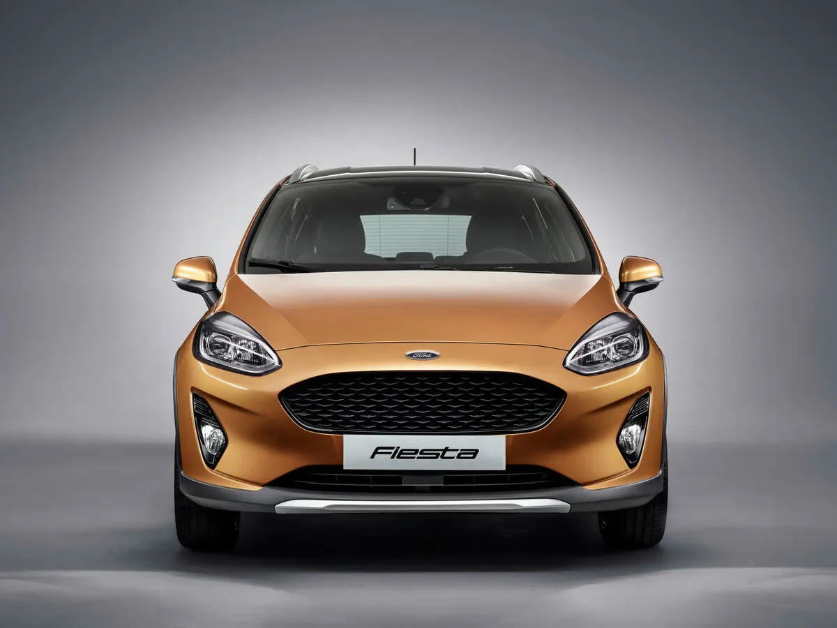 Ford Fiesta Mk7 Хэтчбек 5 дв. Active — photo 3