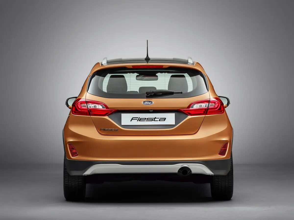 Ford Fiesta Mk7 Хэтчбек 5 дв. Active — photo 4