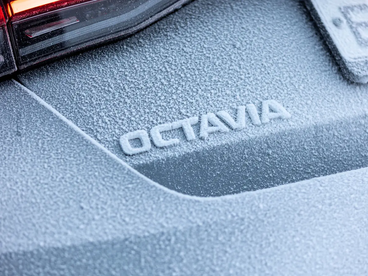 Skoda Octavia IV (A8) Лифтбек — сүрөт 36