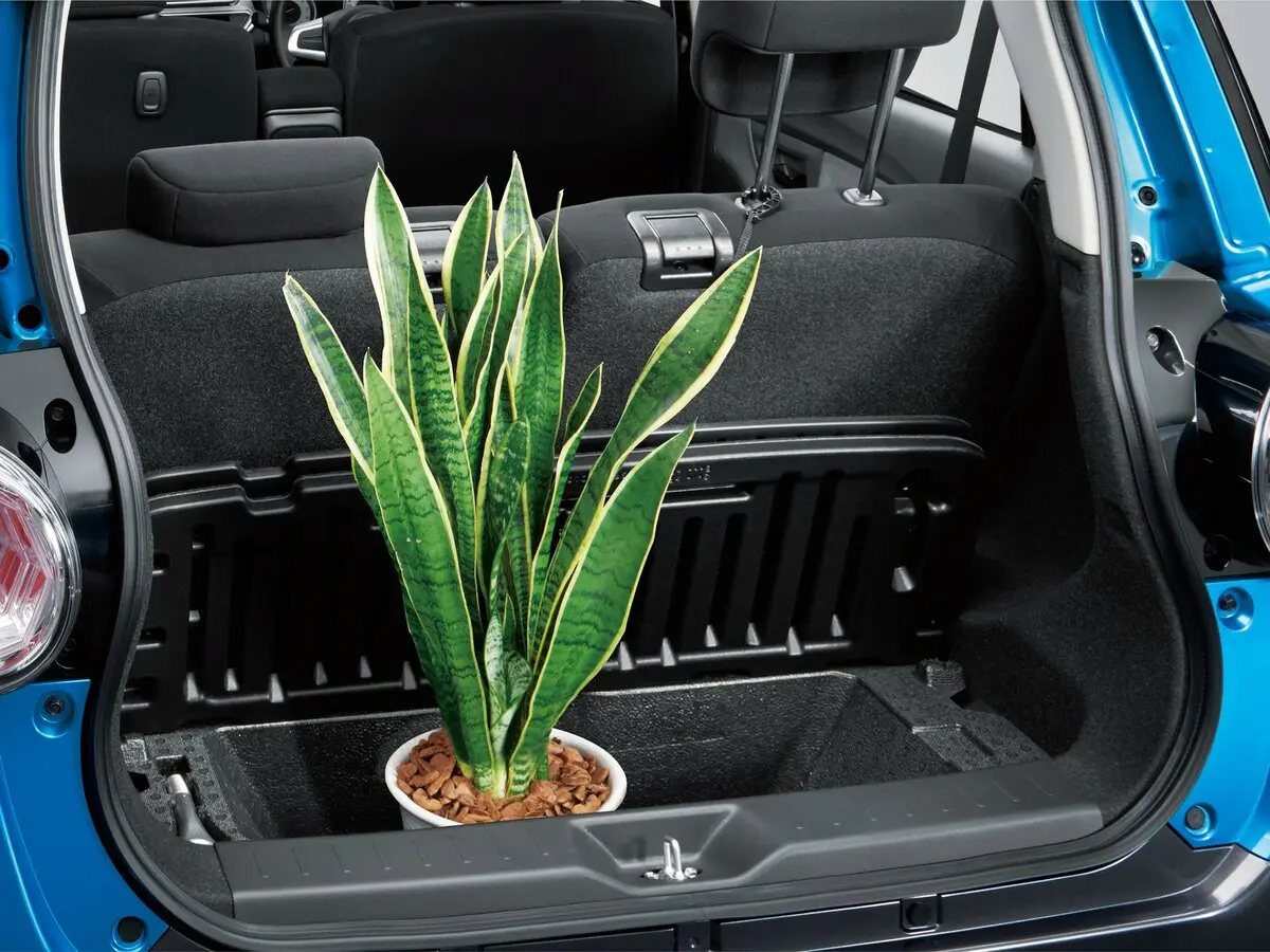 Daihatsu Cast I Хэтчбек 5 дв. — сүрөт 6