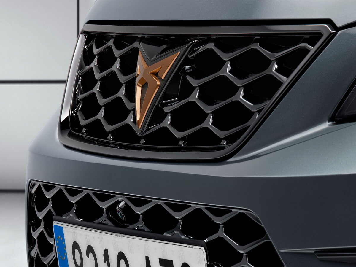 Cupra Ateca I Внедорожник 5 дв. — фото 17