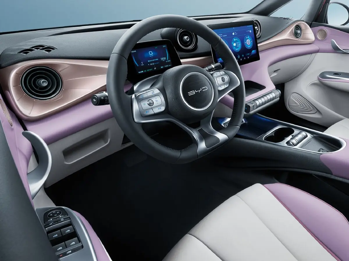 BYD Dolphin I Хэтчбек 5 дв. — сүрөт 6
