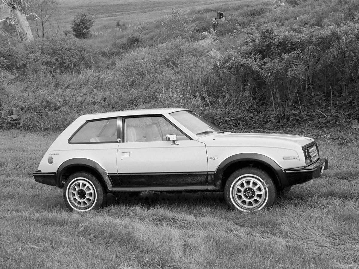 AMC Eagle 1979 – 1987 Хэтчбек 3 дв. — фото 2