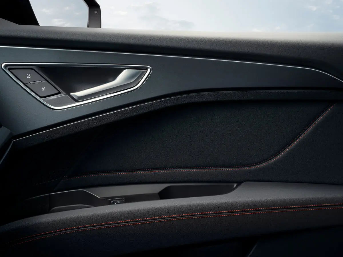 Audi Q5 e-tron 2022 – н.в. Внедорожник 5 дв. — сүрөт 11