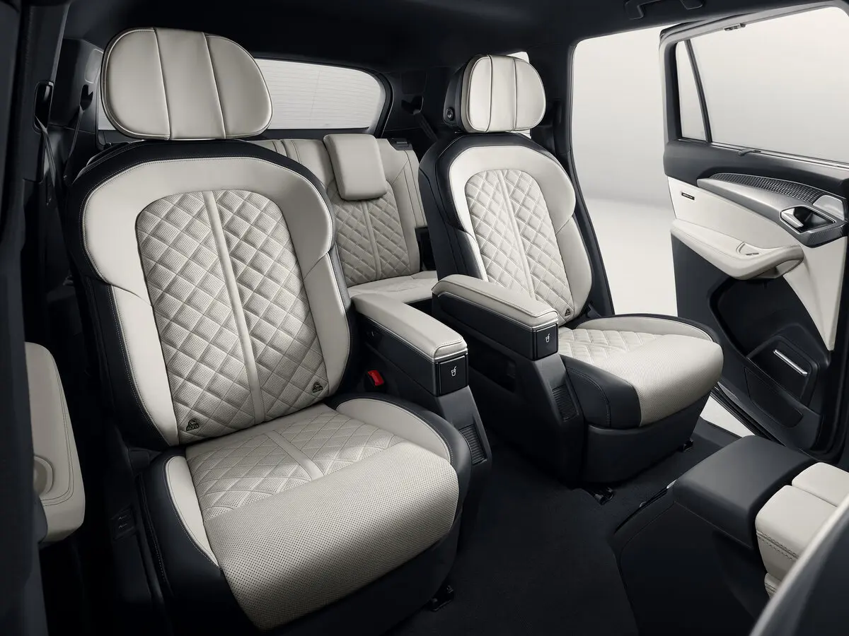 Audi Q6 2022 – н.в. Внедорожник 5 дв. — сүрөт 7