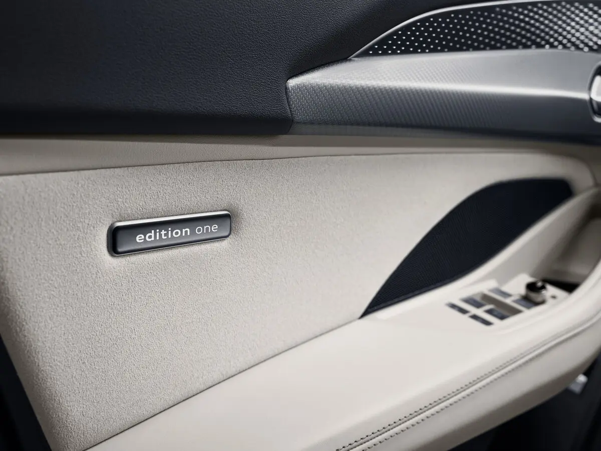 Audi Q6 2022 – н.в. Внедорожник 5 дв. — сүрөт 8