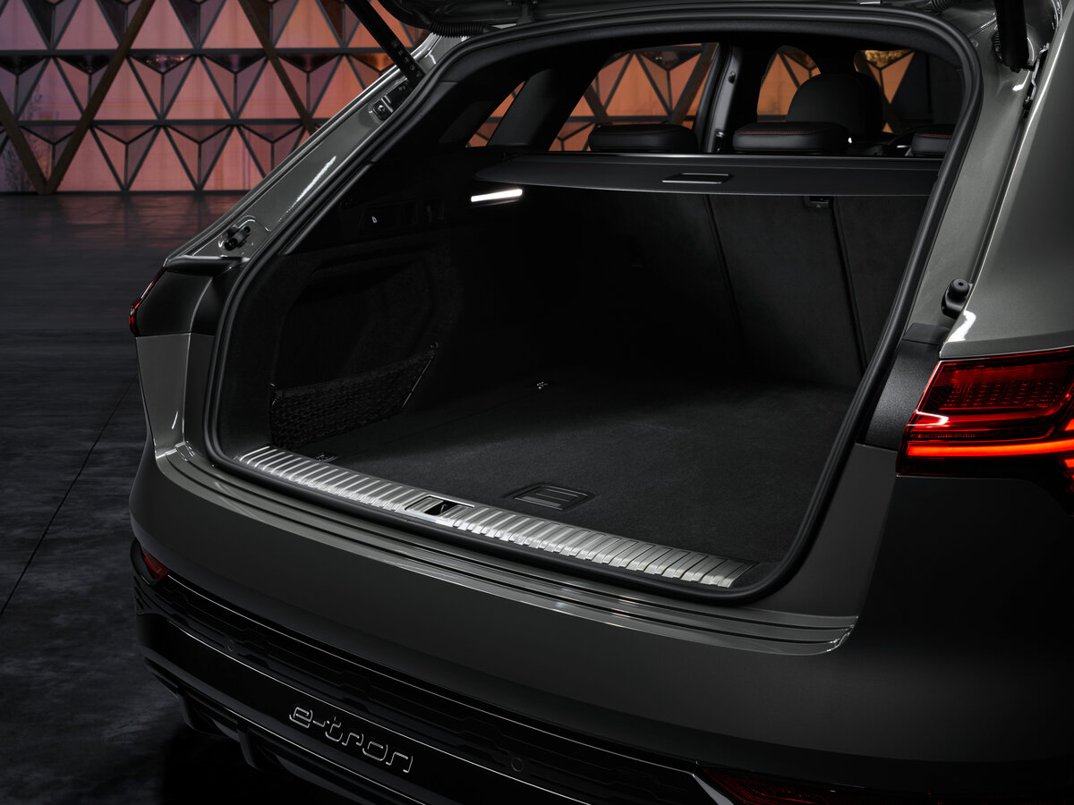 Audi Q8 e-tron 2022 – 2025 Внедорожник 5 дв.