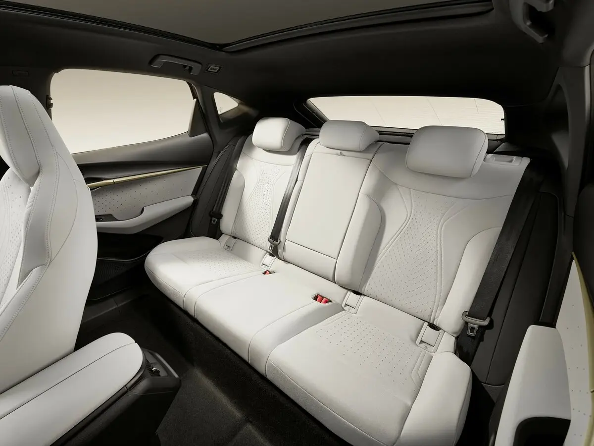 Volkswagen ID.Unyx 2024 – 2025 Внедорожник 5 дв. — 照片 11