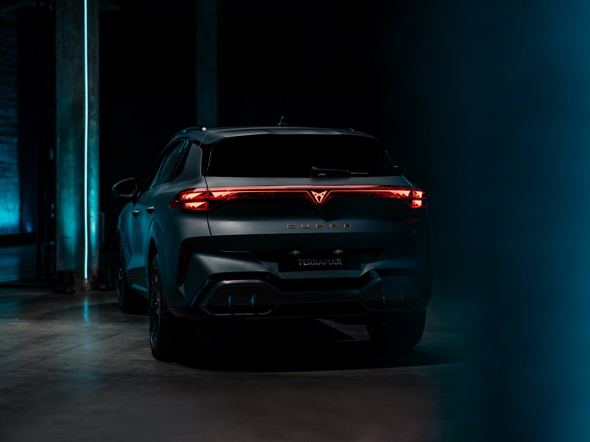 Cupra Terramar 2024 – н.в. Внедорожник 5 дв. — фото 3
