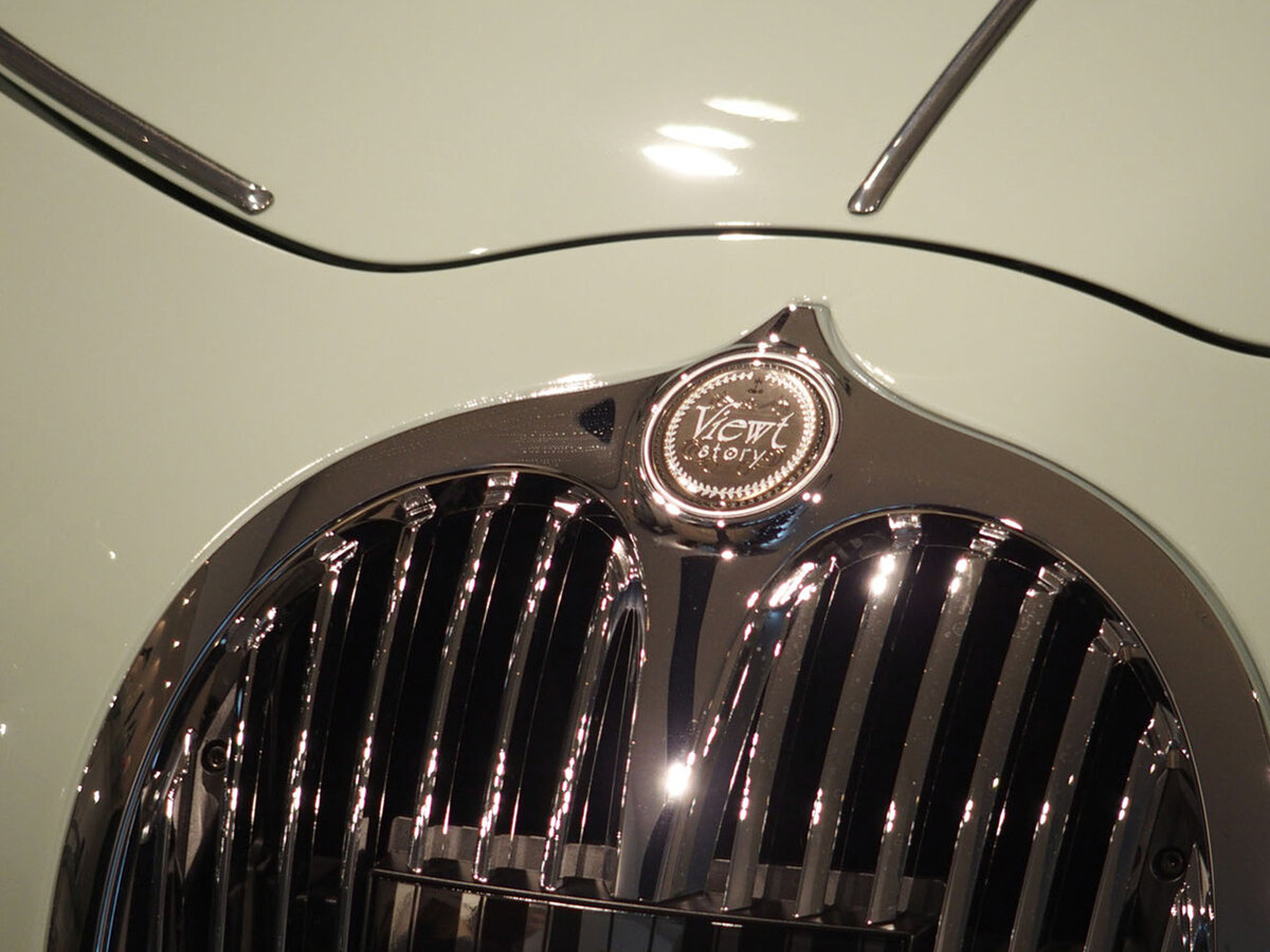 Mitsuoka Viewt IV Хэтчбек 5 дв. — фото 11