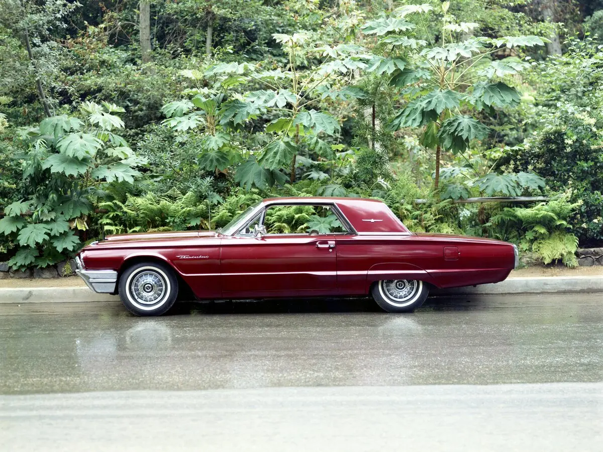 Ford Thunderbird IV Купе-хардтоп — сүрөт 3