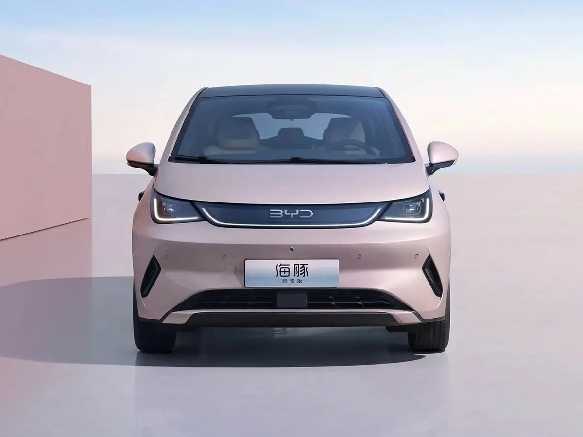 BYD Dolphin I Рестайлинг Хэтчбек 5 дв. — 照片 3