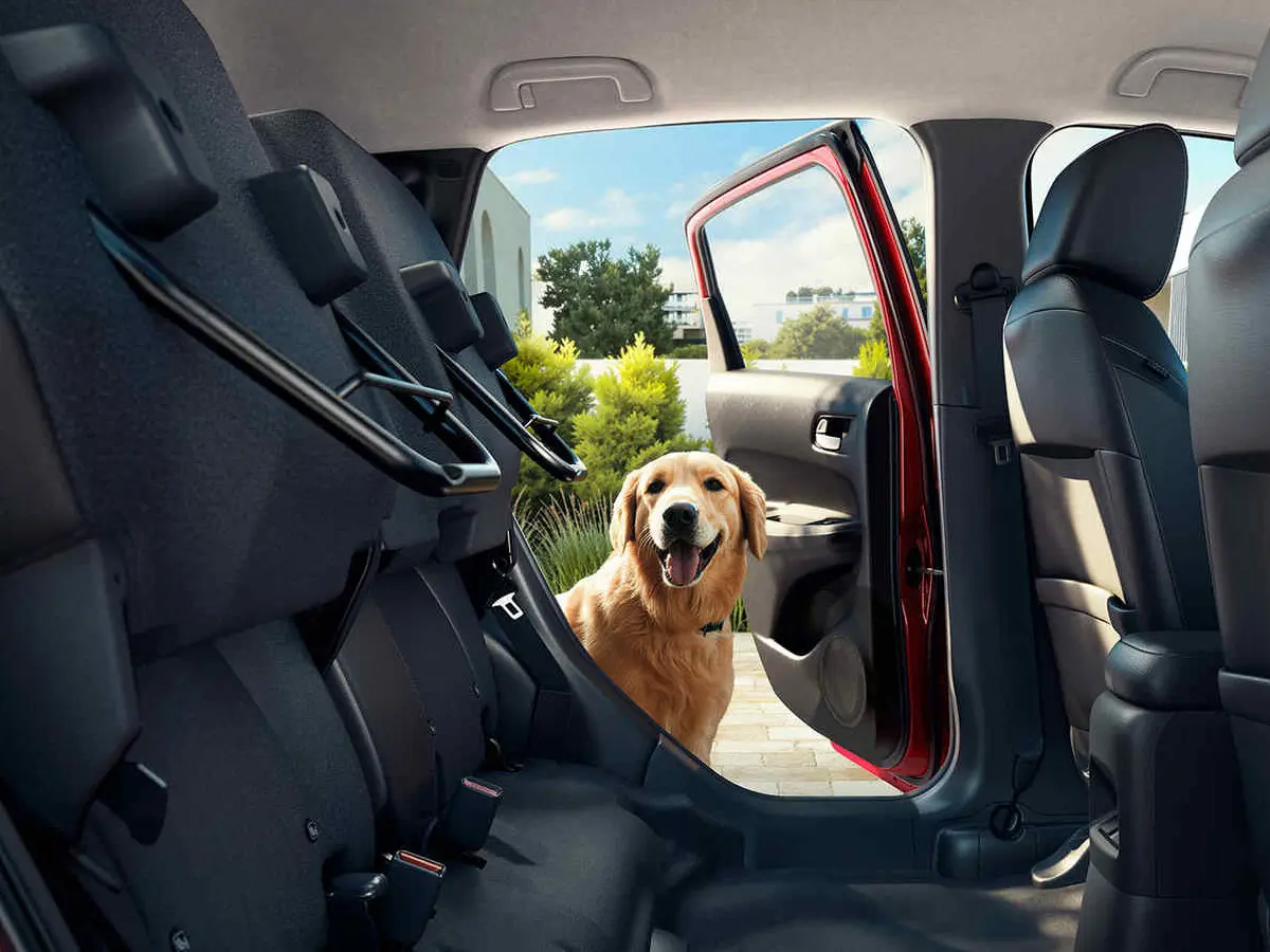 Honda Jazz IV Рестайлинг Хэтчбек 5 дв. — фото 12