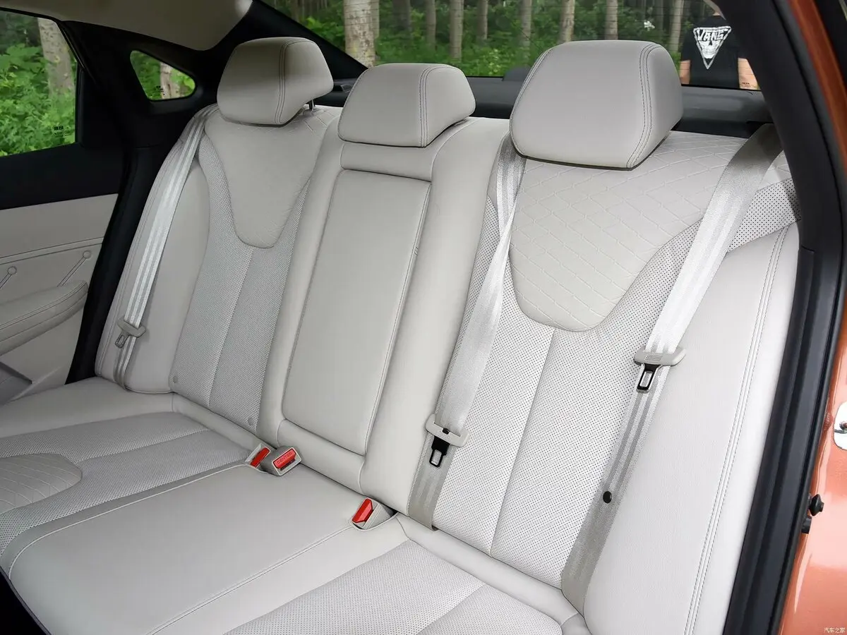 Venucia D60 I Седан — сүрөт 12