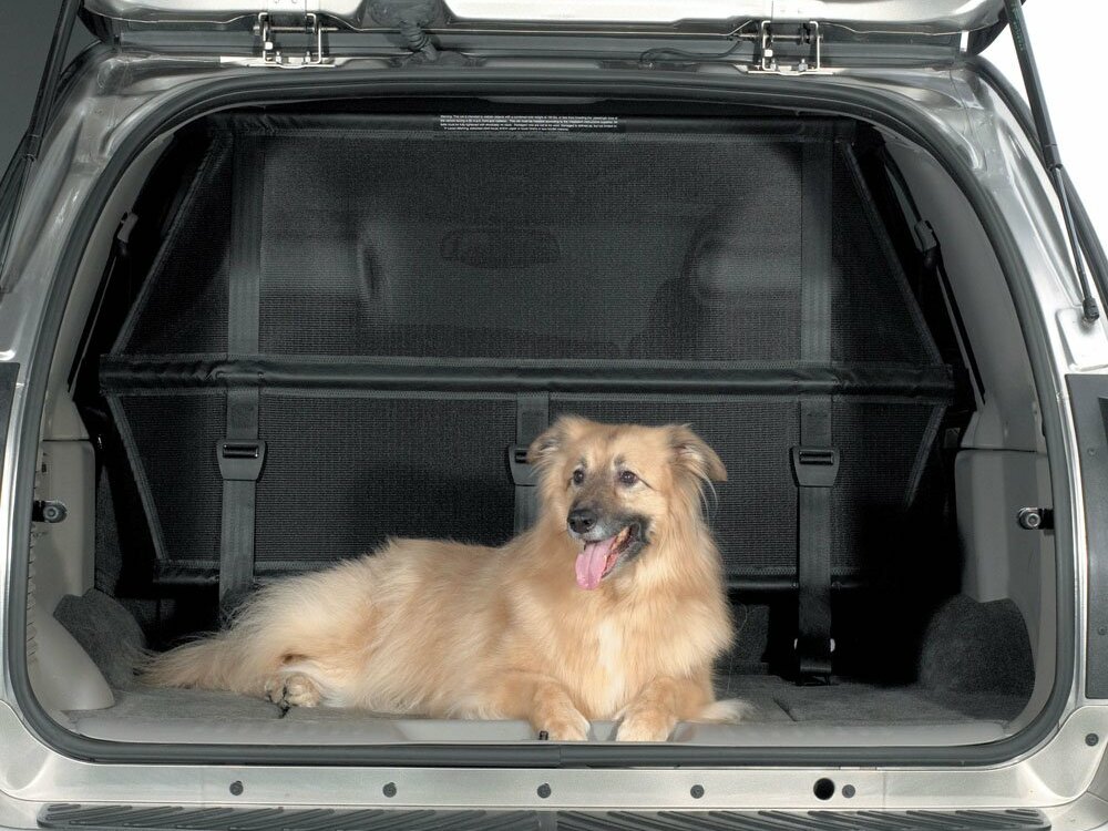 Buick Rainier 2003 – 2007 Внедорожник 5 дв.