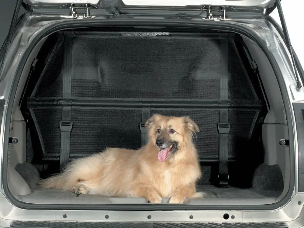 Buick Rainier 2003 – 2007 Внедорожник 5 дв. — photo 8