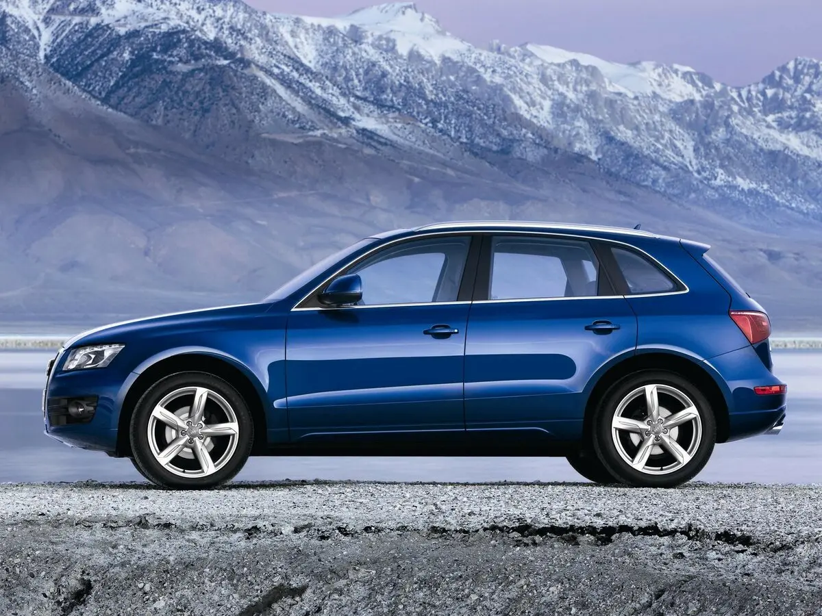 Audi Q5 I (8R) Внедорожник 5 дв. — сүрөт 2