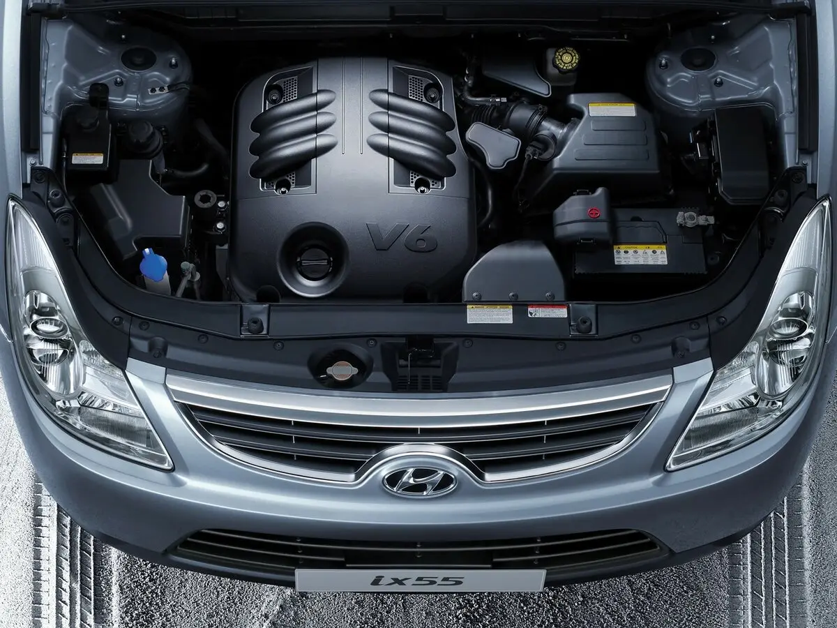 Hyundai ix55 2008 – 2013 Внедорожник 5 дв. — сүрөт 16