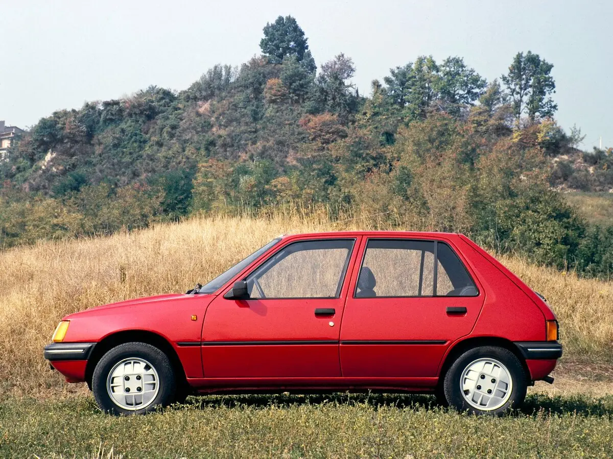 Peugeot 205 1983 – 1998 Хэтчбек 5 дв. — сүрөт 3