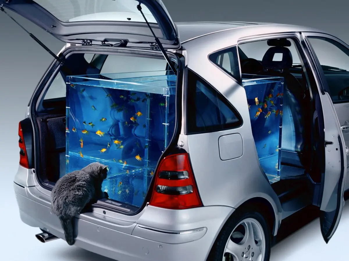 Mercedes-Benz A-Класс I (W168) Рестайлинг Хэтчбек 5 дв. Long — сүрөт 6