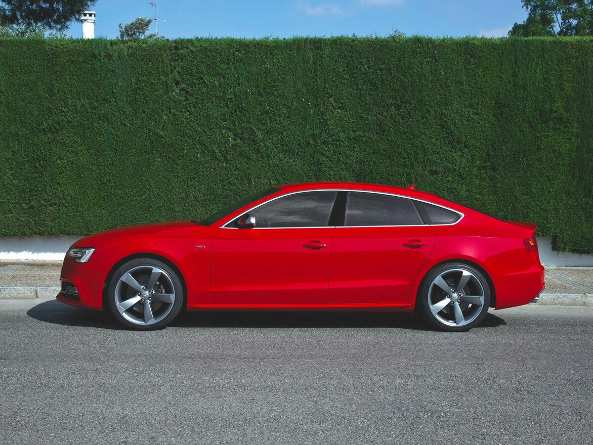 Audi S5 I (8T) Рестайлинг Лифтбек — фото 2