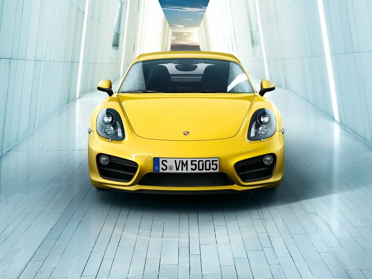 Porsche Cayman II (981) Купе — фото 3