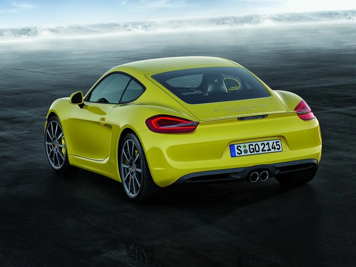 Porsche Cayman II (981) Купе — фото 5