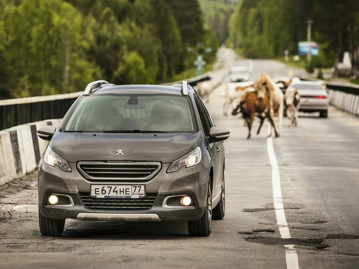 Peugeot 2008 I Внедорожник 5 дв. — сүрөт 21
